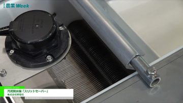maxresdefault-24.jpg