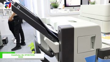 maxresdefault-16.jpg