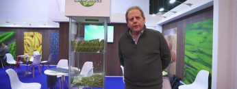 maxresdefault-4.jpg