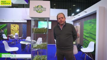 maxresdefault-4.jpg