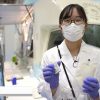 maxresdefault-96.jpg