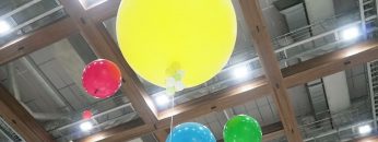 maxresdefault-38.jpg